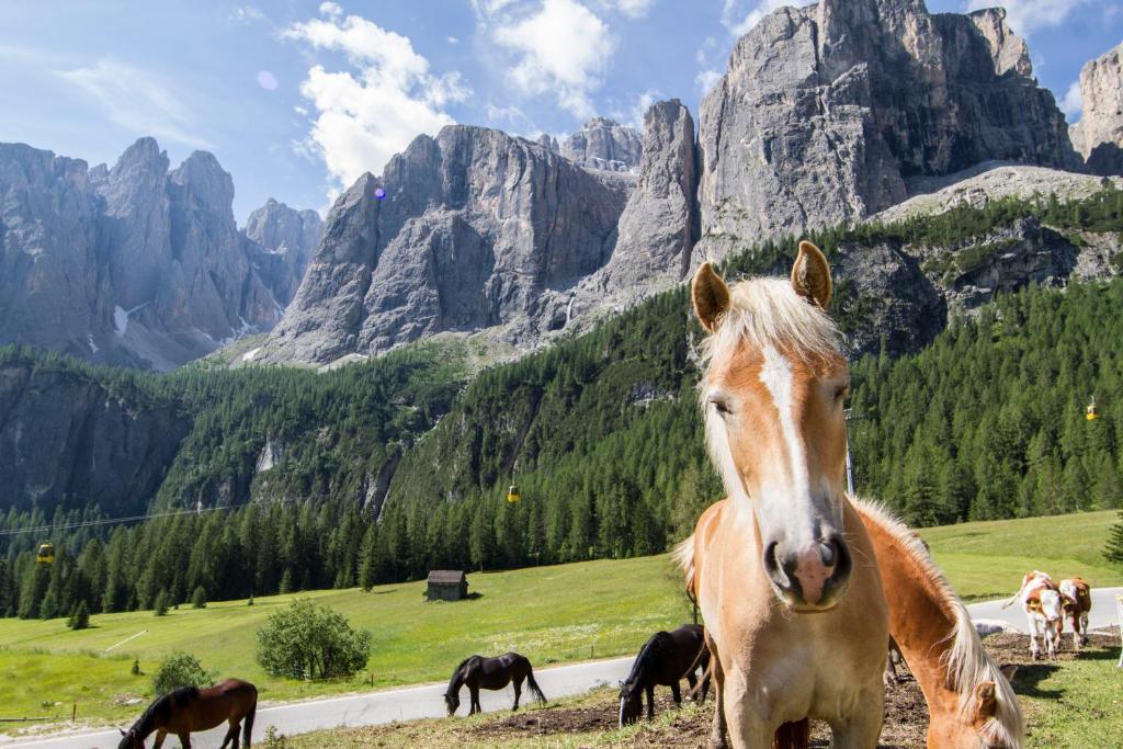 Chalet Madrisa Corvara In Badia Luaran gambar