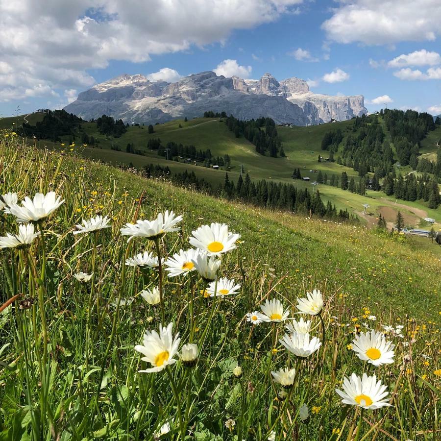 Chalet Madrisa Corvara In Badia Luaran gambar